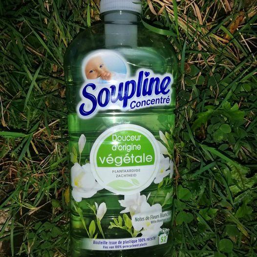 Soupline origine vegetale